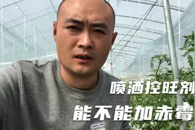 喷洒控旺剂时能不能加赤霉素？我也是刚知道，农民快看看吧视频封面