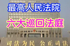 向最高人民法院申诉或再审的案子可不必跑北京，联系六大巡回法庭视频封面