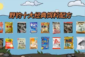 盘点野钓十大经典饵料配方，你用过几种？视频封面