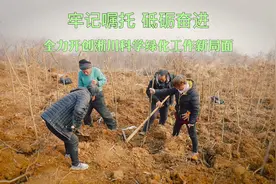 看，淅川的荒山就是这样披绿的！视频封面