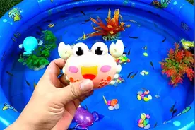 认识螃蟹、龙虾、河豚等动物视频封面