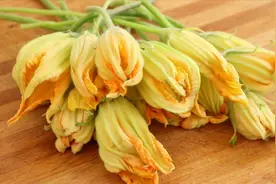 南瓜花别再油炸了，教你最好吃的做法，咬一口鲜嫩多汁，太香了