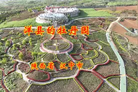 陕西汉中洋县的牡丹园视频封面