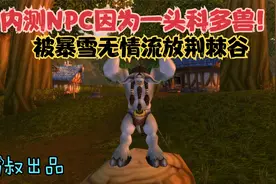 魔兽世界怀旧服：该内测NPC因无事可做，被暴雪无情流放荆棘谷！视频封面