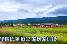 萍乡莲花良坊镇田心村被评为省级生态示范村，省3A级乡村旅游景点视频封面