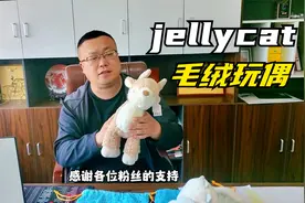 胖崔家有两款英国邦尼熊玩偶，毛绒绒很可爱，送给小朋友真不错！视频封面