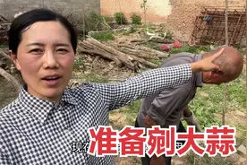 鹏妈去老院搭蒜架，公公得知今年大蒜价格不错，但愿能有个好收成