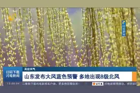 山东发布大风蓝色预警，多地阵风7-8级，鲁西北等地最低气温-1℃视频封面