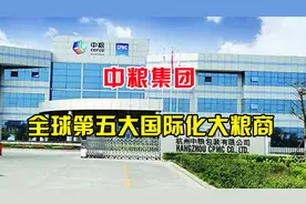 中粮集团：中国粮食安全的捍卫者，从小粮商逆袭资本巨无霸！视频封面