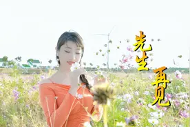 2020又火了一首新歌《先生再见》陈瑞，动感DJ，节奏很嗨，很好听视频封面