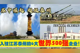 苏中崛起，入驻江苏泰州的6大超级世界500强央企外企，能带来什么视频封面