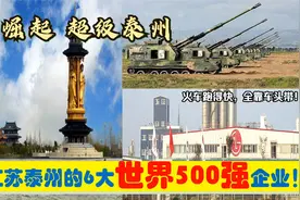 苏中崛起，入驻江苏泰州的6大超级世界500强央企外企，能带来什么视频封面