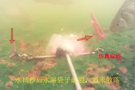 仿真蚯蚓与真蚯蚓，鱼会喜欢哪个？水下高清拍摄，让鱼告诉你答案视频封面