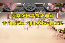 海棠花照片怎么拍？试下这个技巧，构图技巧及参数方法设置全都有视频封面