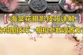 海棠花照片怎么拍？试下这个技巧，构图技巧及参数方法设置全都有视频封面