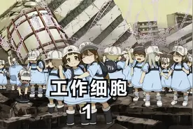 人体内居然每天有这么多细胞在工作视频封面