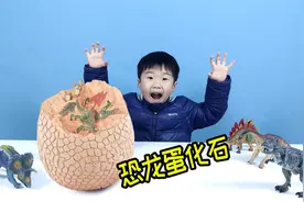 巨型恐龙蛋挖掘玩具，轩轩一口气挖出了十多只恐龙视频封面