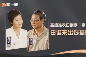 张红宇：高标准农田到底“高”在哪？由谁来出钱搞建设？视频封面