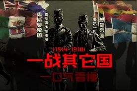 一口气看懂 第一次世界大战 其他国家