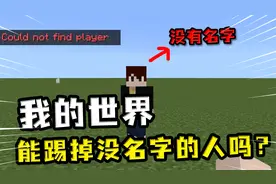 我的世界：能把没名字的人踢掉吗？玩家把踢人键按烂了都无事发生