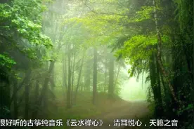 很好听的古筝纯音乐《云水禅心》，清耳悦心，天籁之音视频封面