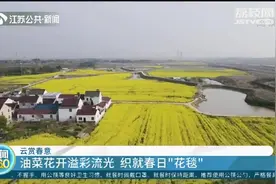 油菜花开溢彩流光，织就春日“花毯”！江苏“赏花地图”请查收视频封面