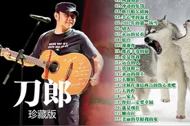 《刀郎》45首原版歌曲，独特嗓音，听的人荡气回肠，绝对珍藏！