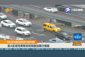杭州小客车指标设置及限行措施有调整：浙A区域号牌有双时...