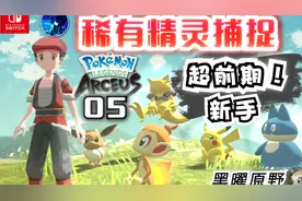 【宝可梦传说 阿尔宙斯】前期稀有精灵捕捉！小火猴小卡比兽 伊布