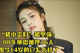 “猪中贵妇”猪坚强：08年地震被埋36天，如今14岁的它怎么样了视频封面