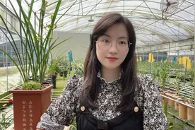 它被誉为“一年四季”都可以开花的兰花品种，花期超长也勤花勤芽视频封面