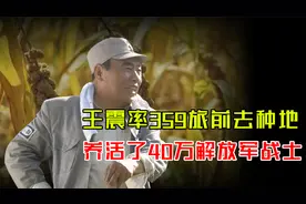 朱德勘探南泥湾后，令王震率359旅前去种地，养活40万解放军战士视频封面