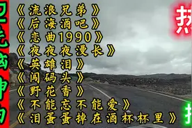 【精选10首】DJ洗脑神曲，节奏感强曲调魔性，强烈建议收藏转发！