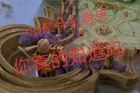 cp是什么意思，你真的知道吗视频封面