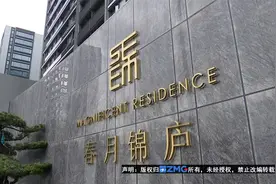 【1818黄金眼】当时咬牙花45万5买车位，现在怀疑车位配比视频封面