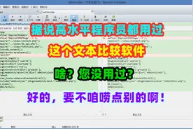这个文本比较软件高水平程序员都用过，用着真心舒服视频封面