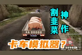 花51买的中国地图版卡车模拟器，割韭菜又一神作！玩的怀疑人生！