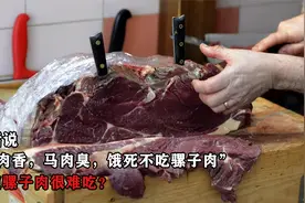 老话说“驴肉香，马肉臭，饿死不吃骡子肉”，难道骡子肉很难吃？视频封面