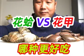 花蛤和花甲有什么不同，您更喜欢哪一种