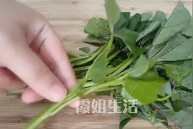 红薯叶简单好吃的做法，不炒不凉拌，营养又解馋，出锅全家都爱吃视频封面
