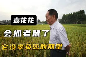 袁爷爷的愿望实现了，他的猫会抓老鼠了视频封面