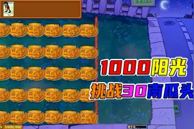 植物大战僵尸：1000阳光预算，挑战30个南瓜头视频封面