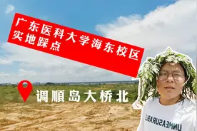 湛江最强大学新校区落户海东新区，预计年底动工视频封面