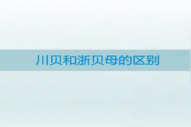 如何有效区别川贝母和浙贝母的功效和临床应用视频封面