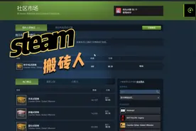 steam，csgo饰品搬砖。