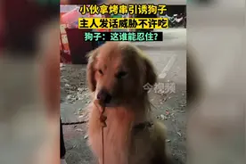 小伙拿烤串引诱狗子，主人发话威胁不许吃，狗子：这谁能忍住？视频封面