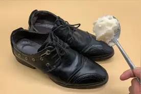 把猪油擦在皮鞋上，太聪明了，多数家庭都不懂，学会不亏视频封面