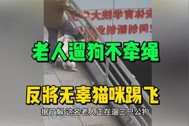 惊心！陕西西安一老人遛狗不牵绳，反将无辜猫咪从高处踢飞！视频封面