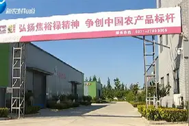 河南绿色食品“30年30品30人”丨传承非遗技艺 打造绿色黄豆酱视频封面