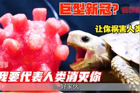 巨大乌龟外出巡查领地，遇到红色新冠病毒，那就代表月亮消除它吧视频封面